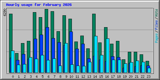 Hourly usage for February 2026